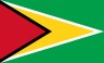 National Flat of Guyana