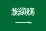 National Flat of Saudi Arabia